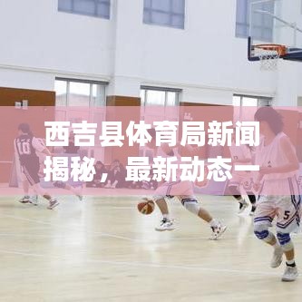 西吉县体育局新闻揭秘，最新动态一网打尽