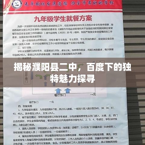 揭秘濮阳县二中，百度下的独特魅力探寻