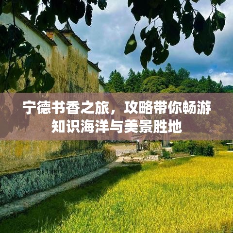 宁德书香之旅，攻略带你畅游知识海洋与美景胜地