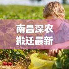 南昌深农搬迁最新动态，最新地址查询指南