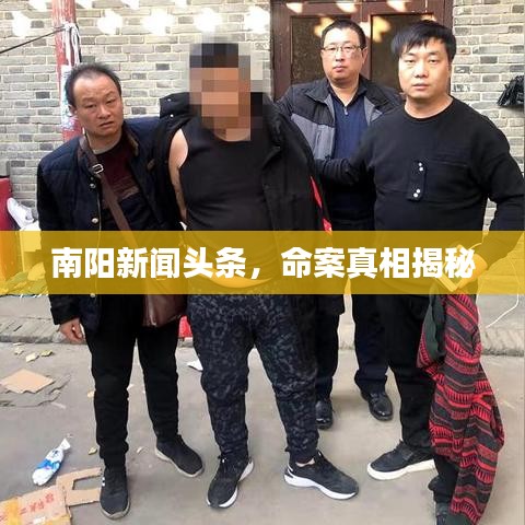 南阳新闻头条，命案真相揭秘