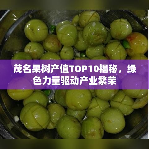茂名果树产值TOP10揭秘，绿色力量驱动产业繁荣