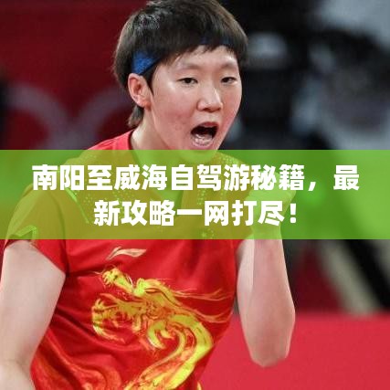 南阳至威海自驾游秘籍，最新攻略一网打尽！