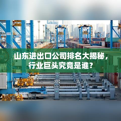 山东进出口公司排名大揭秘，行业巨头究竟是谁？