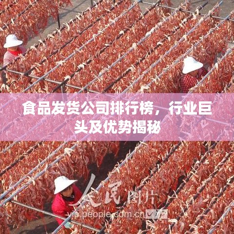 食品发货公司排行榜，行业巨头及优势揭秘