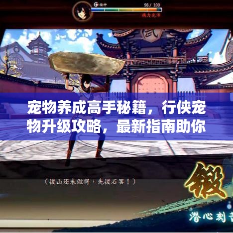 宠物养成高手秘籍，行侠宠物升级攻略，最新指南助你轻松驾驭！