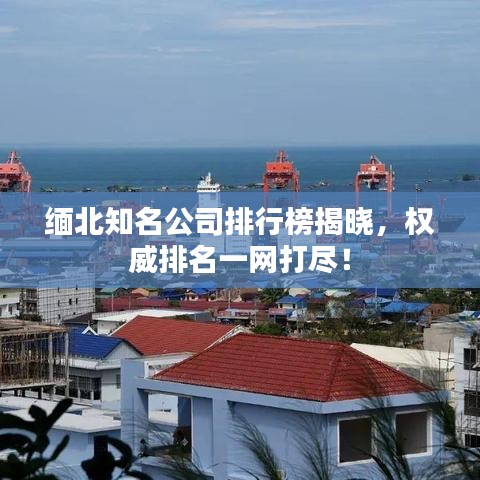 缅北知名公司排行榜揭晓，权威排名一网打尽！