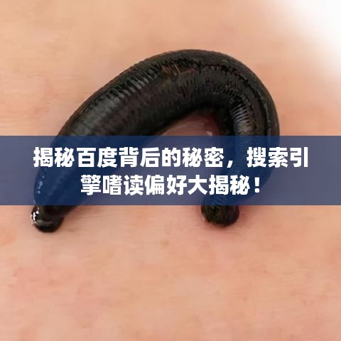 2025年6月26日 第25页