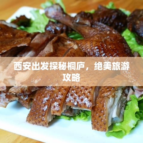 西安出发探秘桐庐，绝美旅游攻略