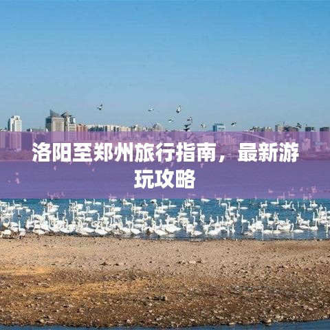洛阳至郑州旅行指南，最新游玩攻略
