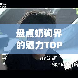 盘点奶狗界的魅力TOP10，最受欢迎的萌犬排名前十！