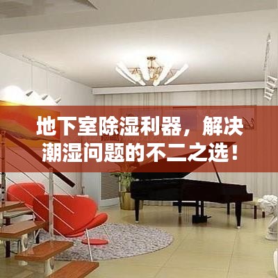 地下室除湿利器，解决潮湿问题的不二之选！