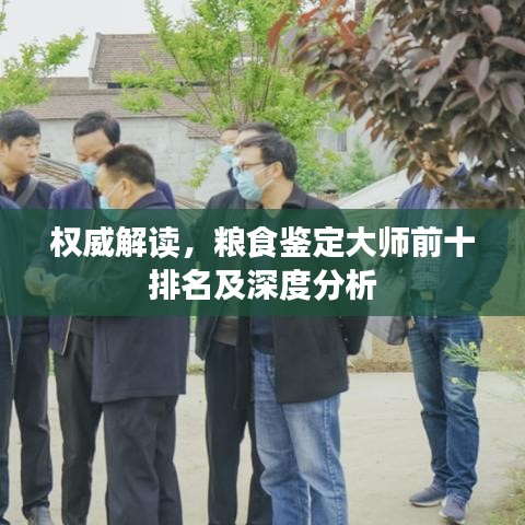 权威解读，粮食鉴定大师前十排名及深度分析