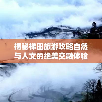 揭秘梯田旅游攻略自然与人文的绝美交融体验！