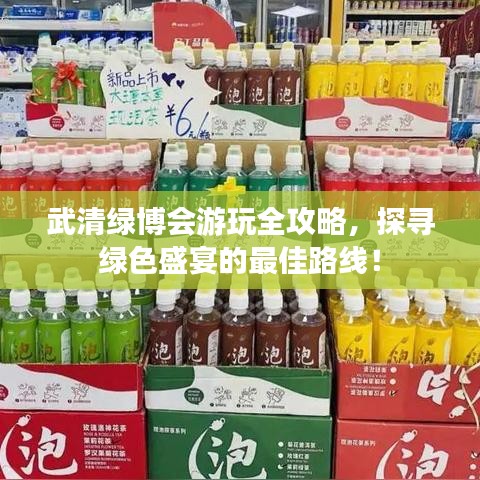 武清绿博会游玩全攻略，探寻绿色盛宴的最佳路线！