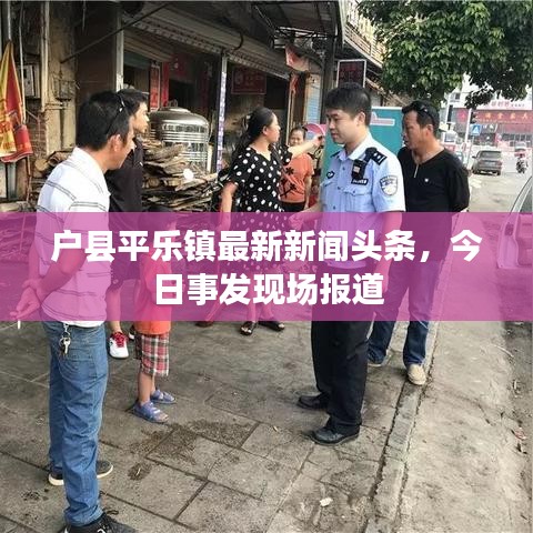 户县平乐镇最新新闻头条，今日事发现场报道