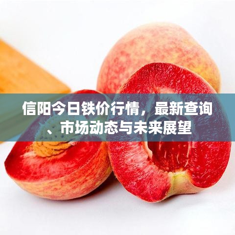 信阳今日铁价行情，最新查询、市场动态与未来展望