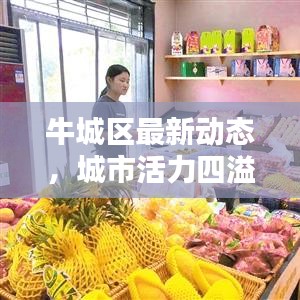 牛城区最新动态，城市活力四溢，新闻头条抢先看