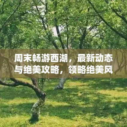 周末畅游西湖，最新动态与绝美攻略，领略绝美风光！