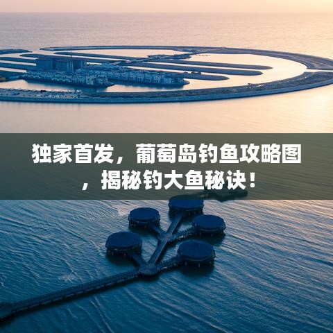 独家首发，葡萄岛钓鱼攻略图，揭秘钓大鱼秘诀！