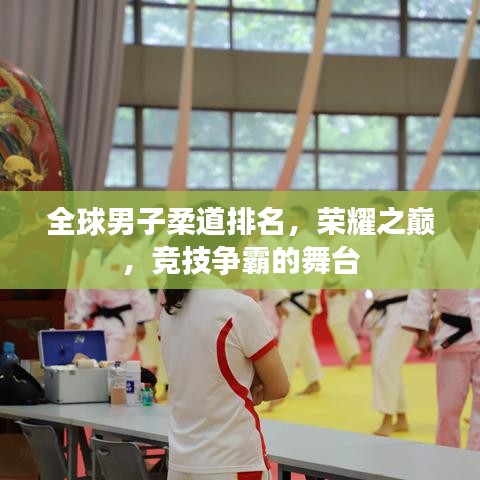 全球男子柔道排名，荣耀之巅，竞技争霸的舞台