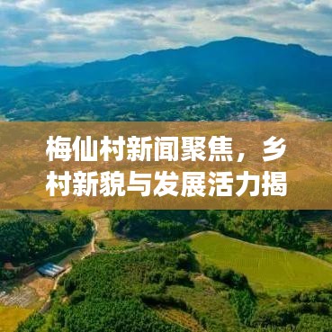 梅仙村新闻聚焦，乡村新貌与发展活力揭秘