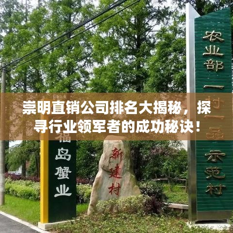 崇明直销公司排名大揭秘，探寻行业领军者的成功秘诀！