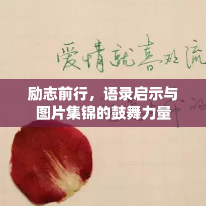 励志前行，语录启示与图片集锦的鼓舞力量