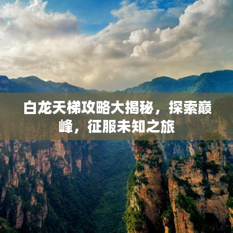 白龙天梯攻略大揭秘，探索巅峰，征服未知之旅