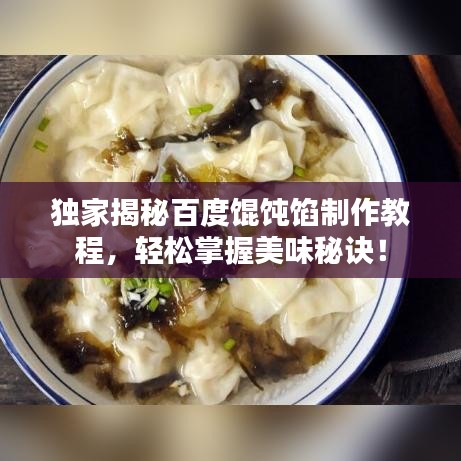 独家揭秘百度馄饨馅制作教程，轻松掌握美味秘诀！