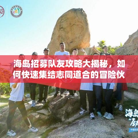 海岛招募队友攻略大揭秘，如何快速集结志同道合的冒险伙伴？