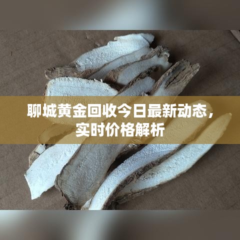 聊城黄金回收今日最新动态，实时价格解析
