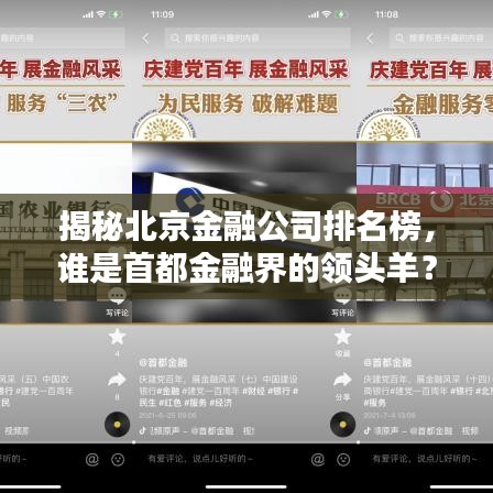 揭秘北京金融公司排名榜，谁是首都金融界的领头羊？