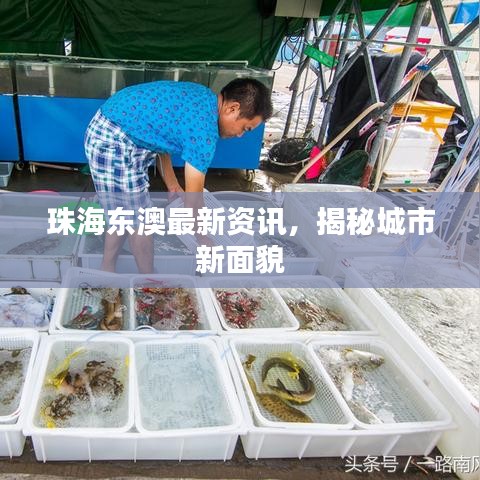 珠海东澳最新资讯，揭秘城市新面貌