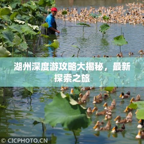 湖州深度游攻略大揭秘，最新探索之旅