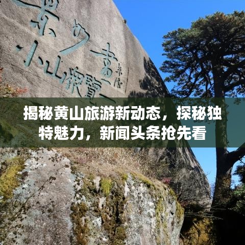 揭秘黄山旅游新动态，探秘独特魅力，新闻头条抢先看