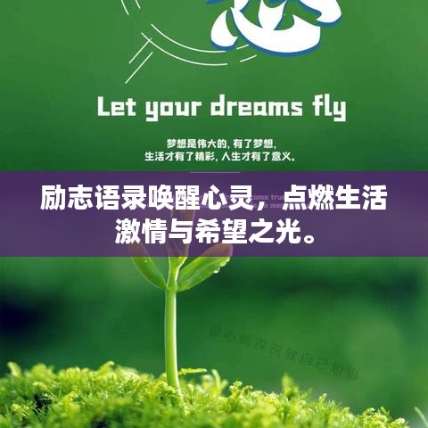 励志语录唤醒心灵，点燃生活激情与希望之光。
