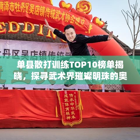 单县散打训练TOP10榜单揭晓，探寻武术界璀璨明珠的奥秘之路