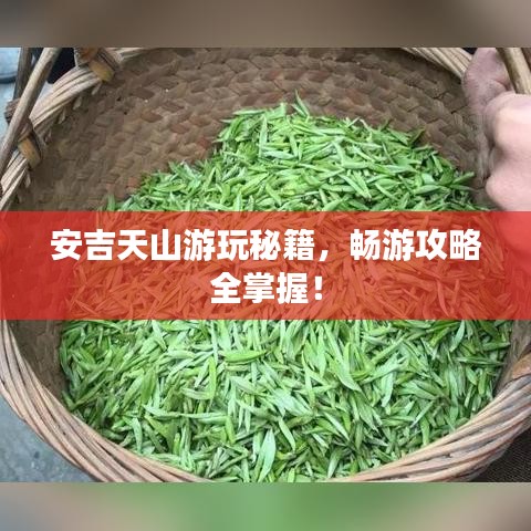 安吉天山游玩秘籍，畅游攻略全掌握！