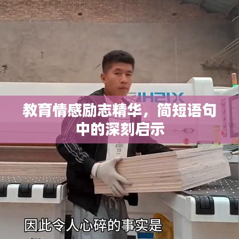 教育情感励志精华，简短语句中的深刻启示