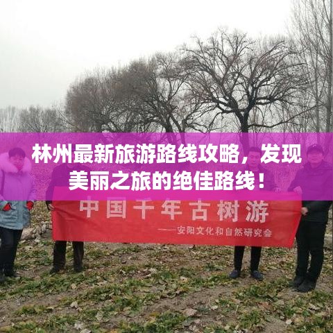 林州最新旅游路线攻略，发现美丽之旅的绝佳路线！