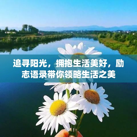 追寻阳光，拥抱生活美好，励志语录带你领略生活之美