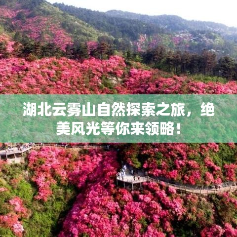 湖北云雾山自然探索之旅，绝美风光等你来领略！