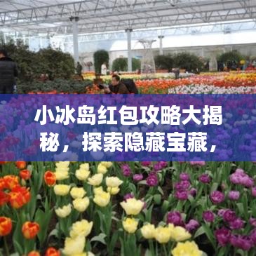 小冰岛红包攻略大揭秘，探索隐藏宝藏，轻松赢取丰厚奖励！