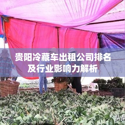 贵阳冷藏车出租公司排名及行业影响力解析