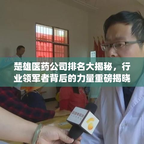 楚雄医药公司排名大揭秘，行业领军者背后的力量重磅揭晓！