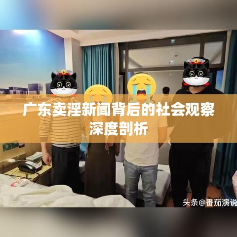 广东卖淫新闻背后的社会观察深度剖析