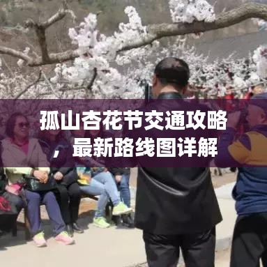 孤山杏花节交通攻略，最新路线图详解