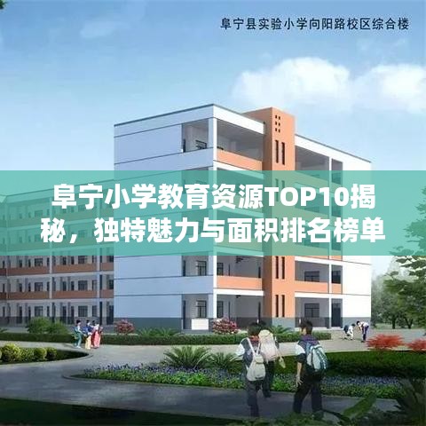 阜宁小学教育资源TOP10揭秘，独特魅力与面积排名榜单！