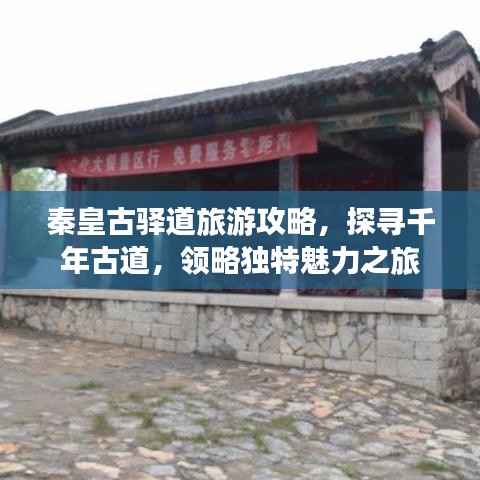 公司动态 第22页
